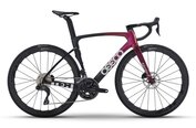Ceepo Mamba-R Disc Frame (2026)