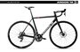 Argon 18 Gallium CS INT Disc