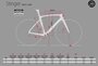 Ceepo Stinger Disc Geometrie