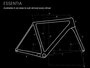 AURUM Essentia Geometry